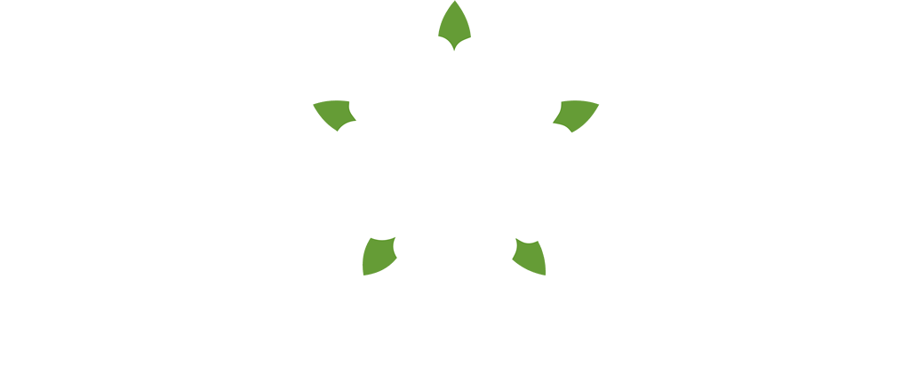 Coletta & Tyson logo