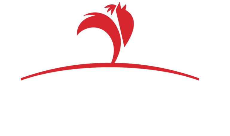 Pilgrims logo